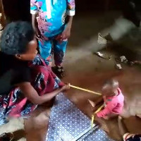 WhatsApp Video 2024-01-19 at 05